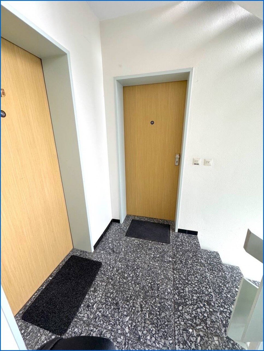 Treppenhaus Etagenwohnung Singen (Hohentwiel)