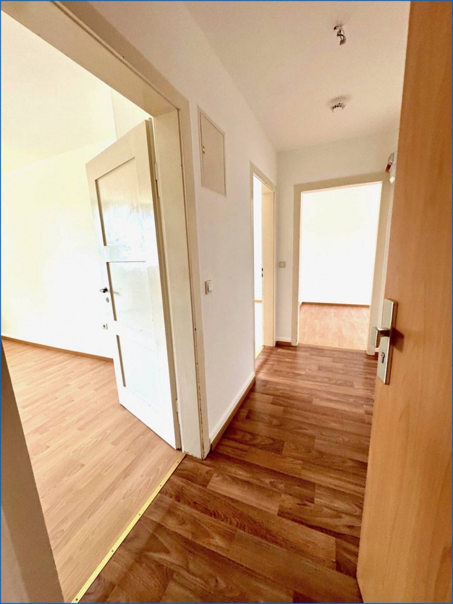 neue Eingangst�re, Flur Etagenwohnung Singen / Hohentwiel
