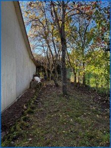 Ansicht hinten seitlich Neuer Preis - Sch�nes Architektenhaus mit gro�em Garten in l�ndlichem Idyll - sofort beziehbar!