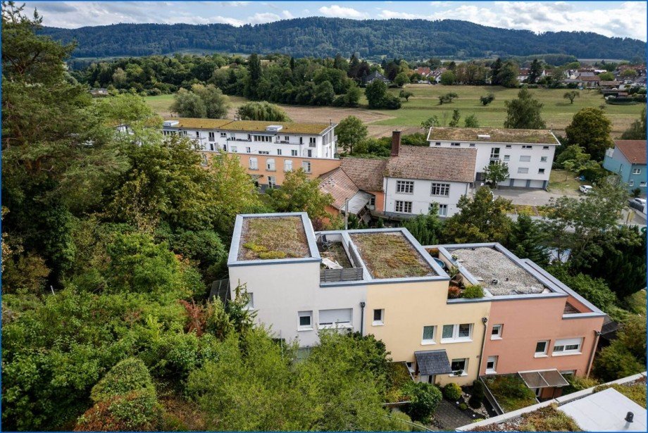 Drohne Reihenmittelhaus Rielasingen-Worblingen / Worblingen