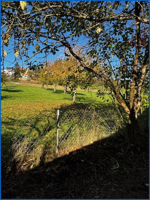 Blick aus dem Garten ins Gr�ne Einfamilienhaus M�hlingen / Zoznegg