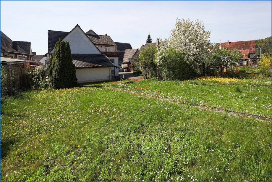 Garten Blick Einfamilienhaus Stei�lingen