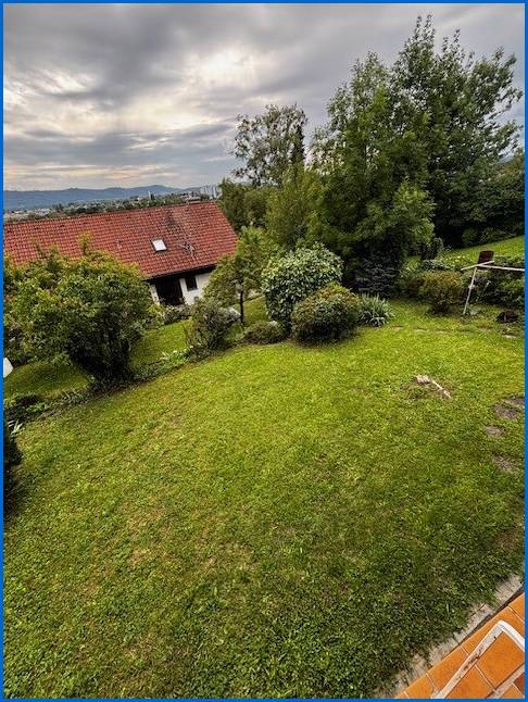 Blick in den Garten Mehrfamilienhaus Radolfzell am Bodensee