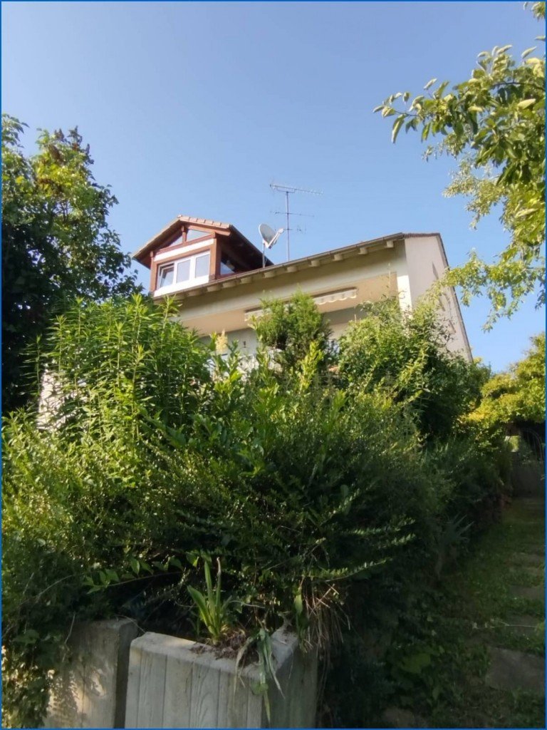 Ansicht Hinten Radolfzell am Bodensee Mehrfamilienhaus Neuer Preis - Sch�nes 3-Fam.haus in Toplage Weinburg - tolle Aussicht, kurzfristig bezugsfrei!