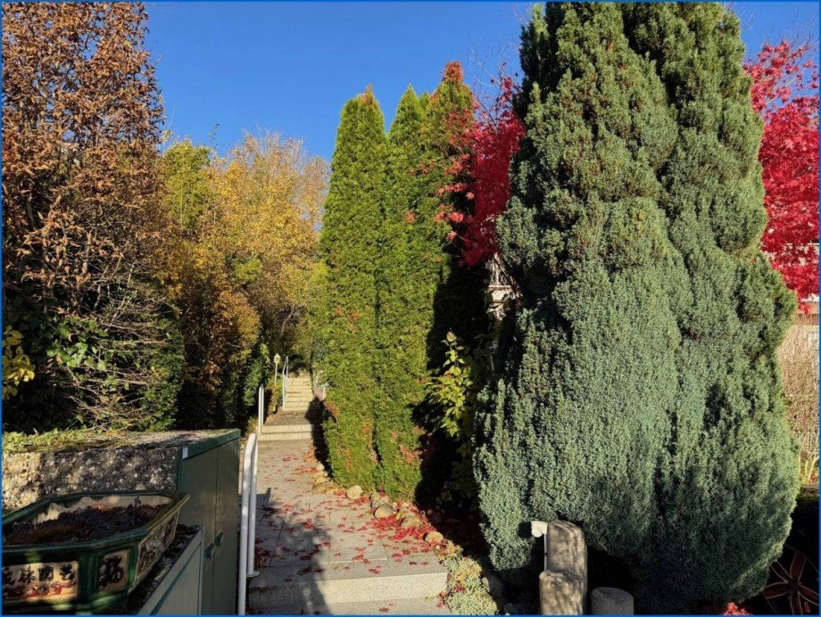 Zugang Erdgeschosswohnung Allensbach / Hegne