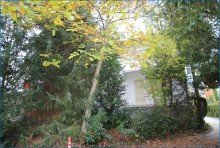 Blick hinten mit Weg KN-Staad - 3 Zi. Wohnung (1.OG) mit 2 Balkonen, in sch�ner ruhiger Lage-BEZUGSFREI !!