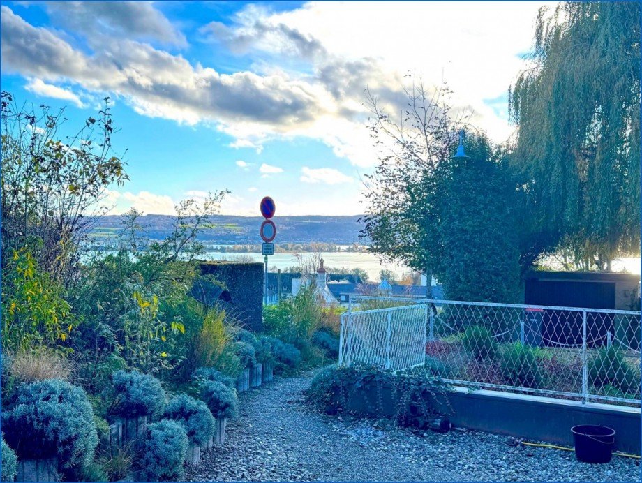 Seeblick Erdgeschosswohnung Allensbach / Hegne