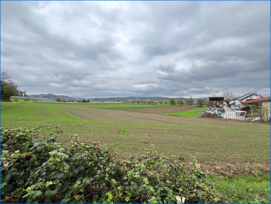 Ortsrandlage Erdgeschosswohnung Stockach / Wahlwies