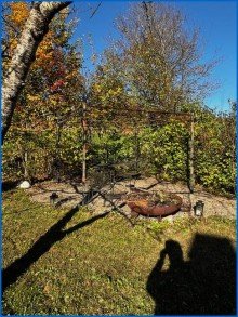 Sitzplatz Neuer Preis - Sch�nes Architektenhaus mit gro�em Garten in l�ndlichem Idyll - sofort beziehbar!