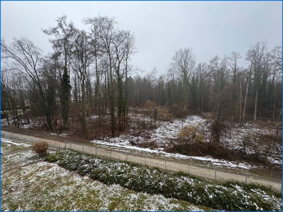 Wald Etagenwohnung Singen (Hohentwiel)