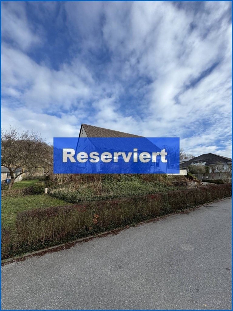 Aussen2 Gailingen am Hochrhein Zweifamilienhaus Attraktives Familienhaus mit gro�em Grundst�ck u. Garage, in sch�ner und ruhiger Lage!