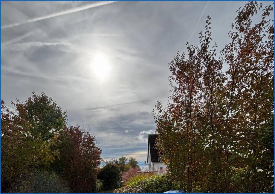Aussicht vom Haus aus Erdgeschosswohnung Meersburg
