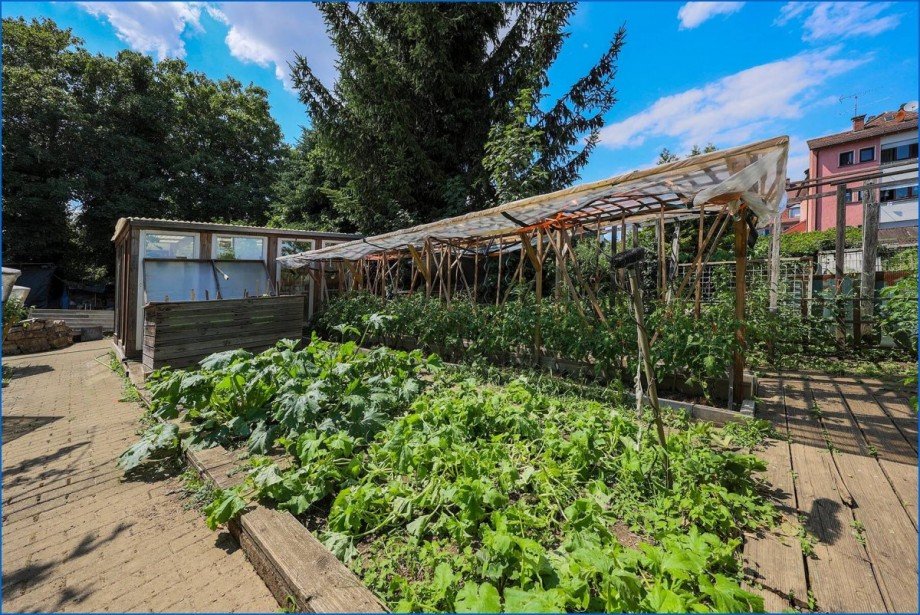 Gem�segarten Mehrfamilienhaus Singen am Hohentwiel