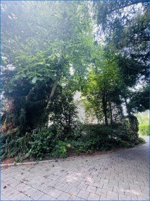 Garten hinten Blick KN-Staad EG/Hochpaterre Wohnung mit 2xBalkon und Gartennutzung, sch�ne ruhige Lage-BEZUGSFREI !!