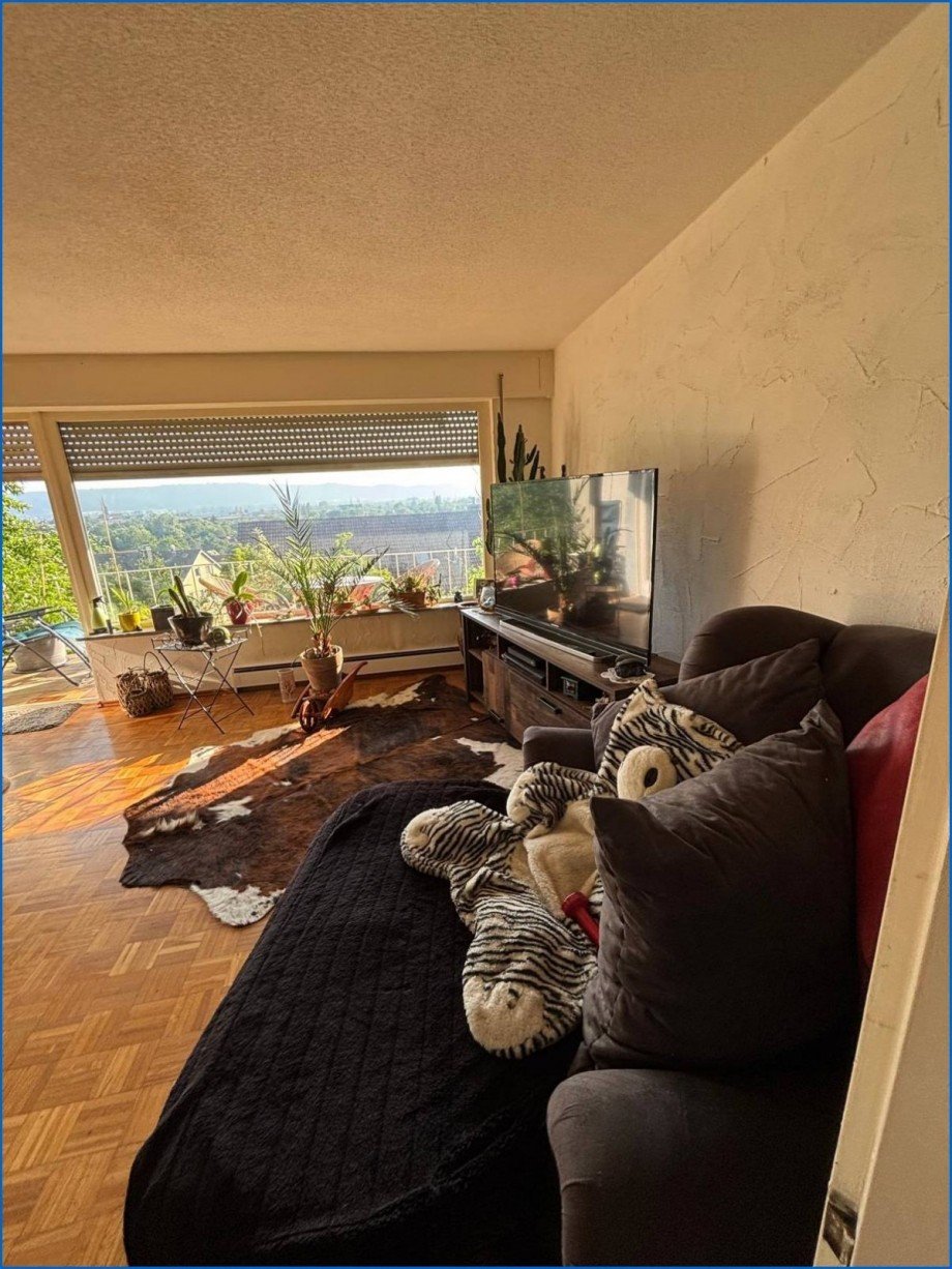 Wohnung EG Mehrfamilienhaus Radolfzell am Bodensee