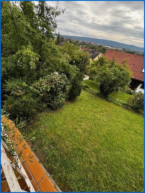 Blick in den Garten_2 Mehrfamilienhaus Radolfzell am Bodensee